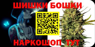 шишки Лесосибирск