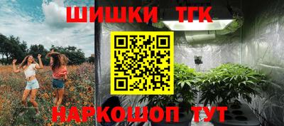 шишки Лесосибирск
