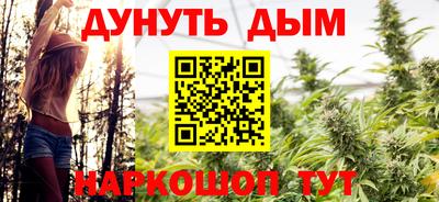 шишки Лесосибирск