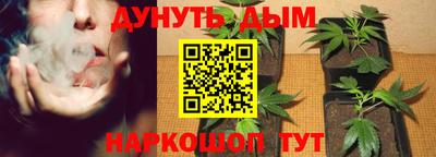 МДПВ Ливны