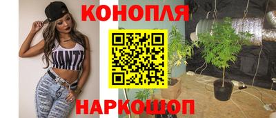 шишки Лесосибирск