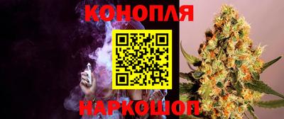МДПВ Ливны