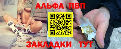 шишки Лесосибирск