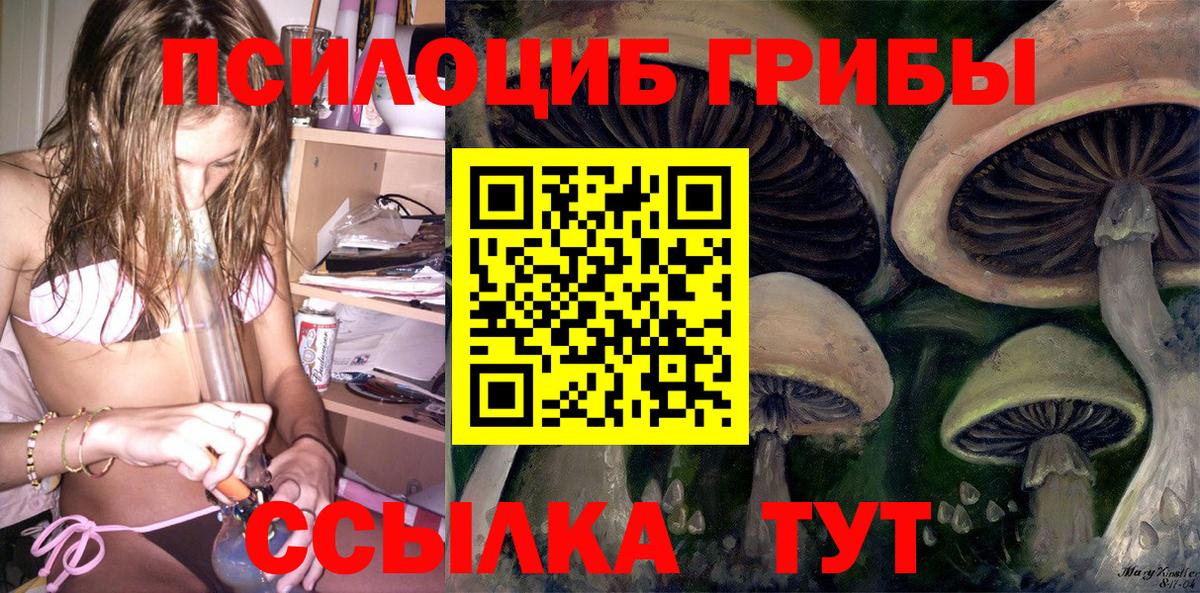 Галлюциногенные грибы Psilocybe Воскресенск