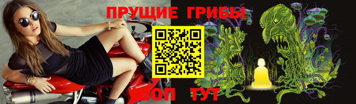 Воскресенск  Псилоцибиновые грибы Magic Shrooms  Вход с VPN 
